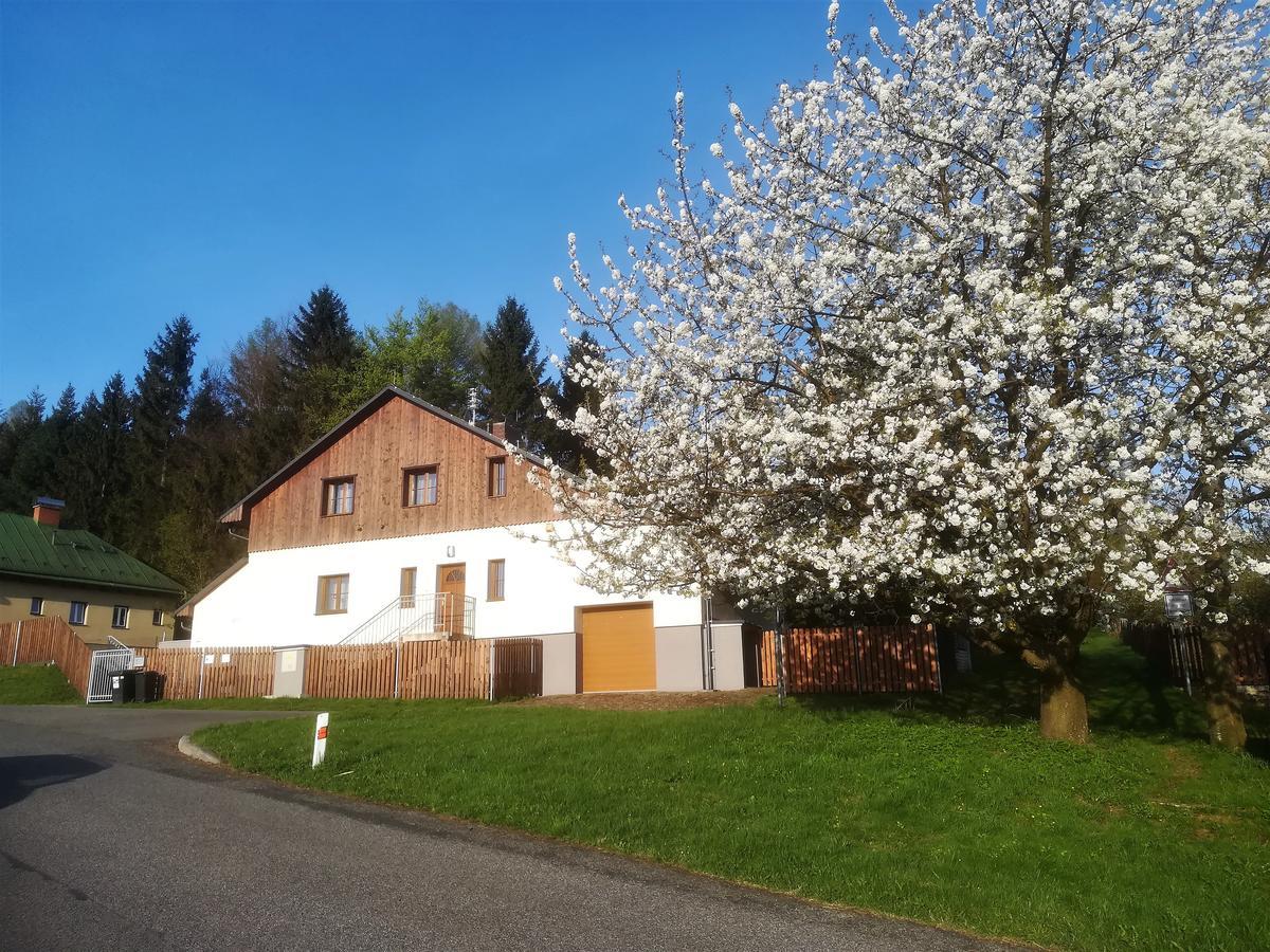 Apartament Haus Tolstejn Jiřetín pod Jedlovou Zewnętrze zdjęcie